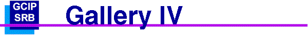 Gallery IV